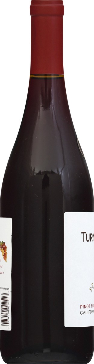 slide 5 of 11, Turning Leaf Red Wine, 750 ml