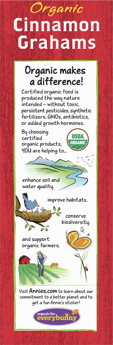 slide 6 of 9, Annie's Organic Graham Crackers, Cinnamon, Made With Whole Grain, 14.4 oz, 14.4 oz