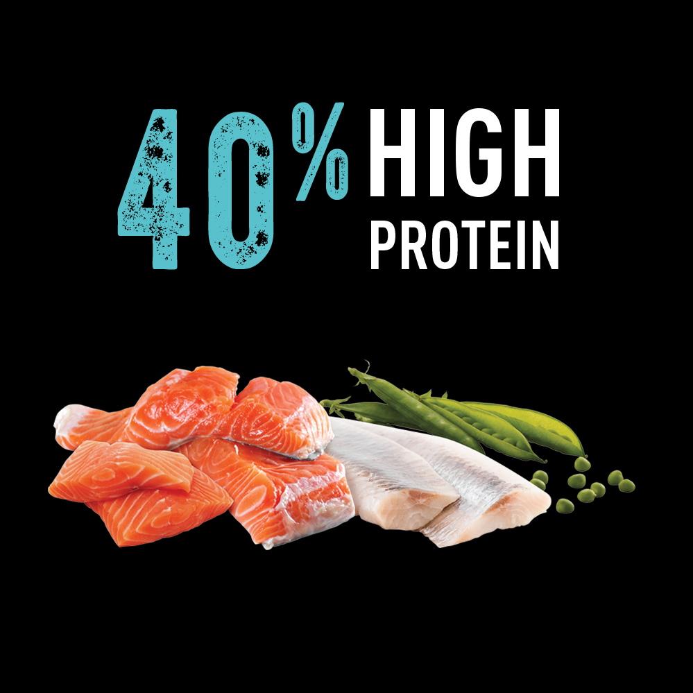 slide 6 of 7, CRAVE Grain Free Adult High Protein Natural Dry Cat Food With Protein From Salmon & Ocean Fish, 2 lb
