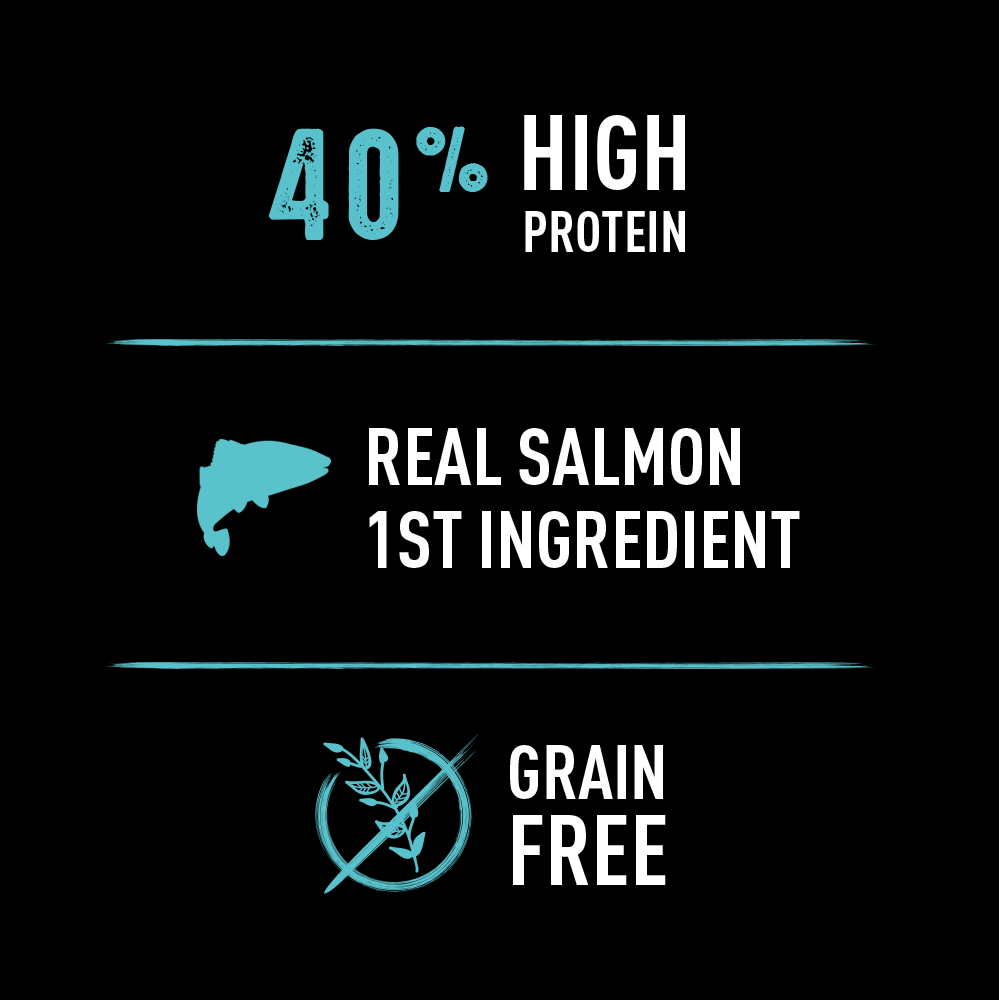 slide 7 of 7, CRAVE Grain Free Adult High Protein Natural Dry Cat Food With Protein From Salmon & Ocean Fish, 2 lb