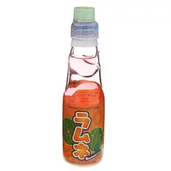 Orchids Carbonated Watermelon Flavor Soft Drink 6.6 fl oz