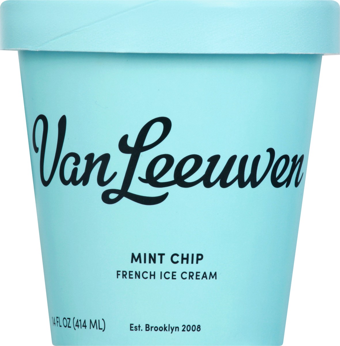 slide 1 of 9, Van Leeuwen Mint Chip French Ice Cream 14 oz, 14 oz