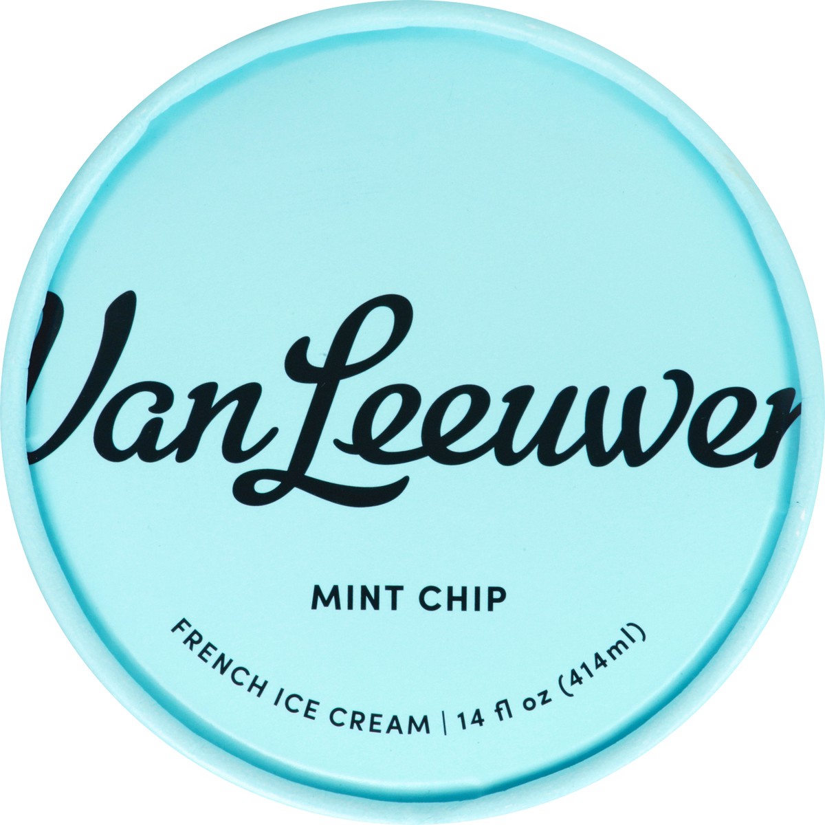 slide 3 of 9, Van Leeuwen Mint Chip French Ice Cream 14 oz, 14 oz