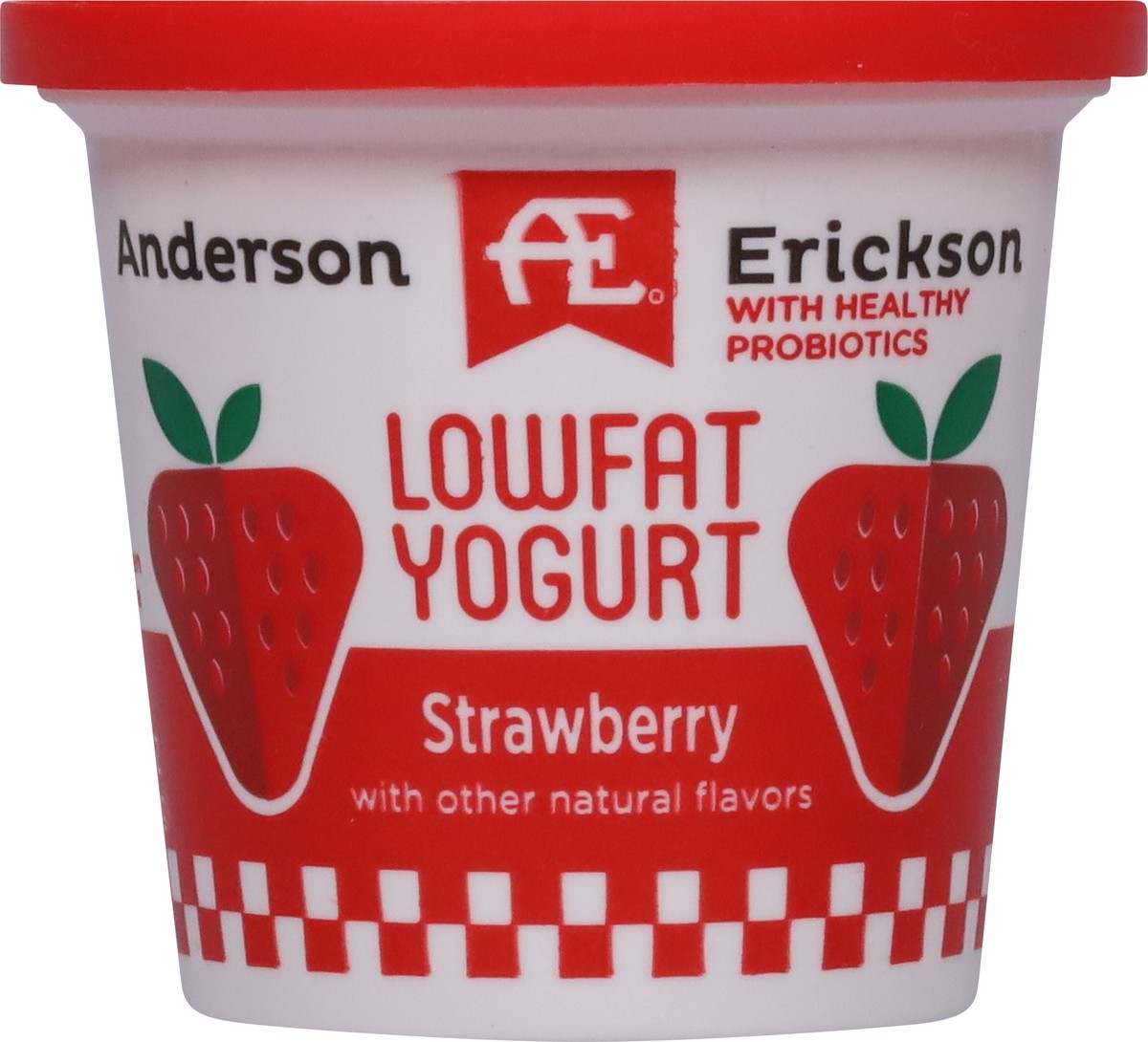 slide 9 of 9, Anderson Erickson Dairy Lowfat Strawberry Yogurt 6 oz, 6 oz