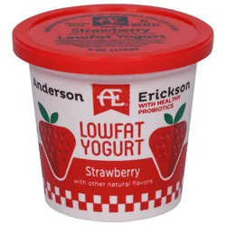 Anderson Erickson Dairy Dairy Lowfat Strawberry Yogurt 6 oz