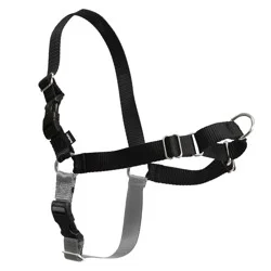 PetSafe Easy Walk Black Dog Harness