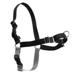 PetSafe Easy Walk Black Dog Harness