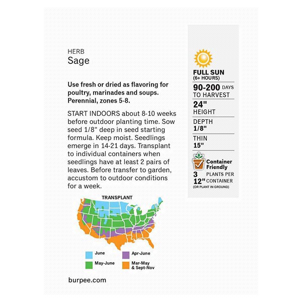 slide 4 of 5, Burpee Common Sage Seeds, 1 ct