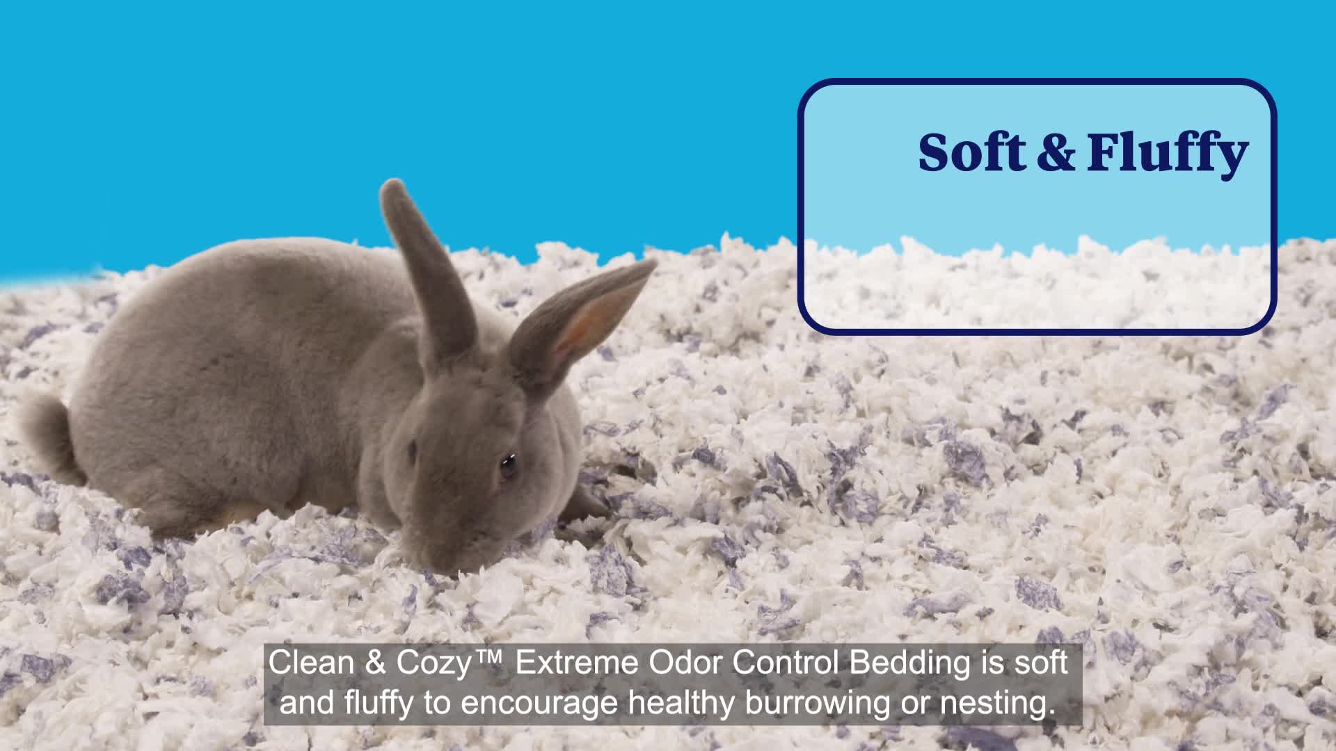 slide 7 of 10, Kaytee Pet Specialty Kaytee Clean & Cozy Extreme Odor Control Small Animal Pet Bedding, 40 Liters, 1 ct