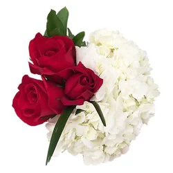 Debi Lilly Design Debi Lilly Combo Hydrangea Enhanced - Each
