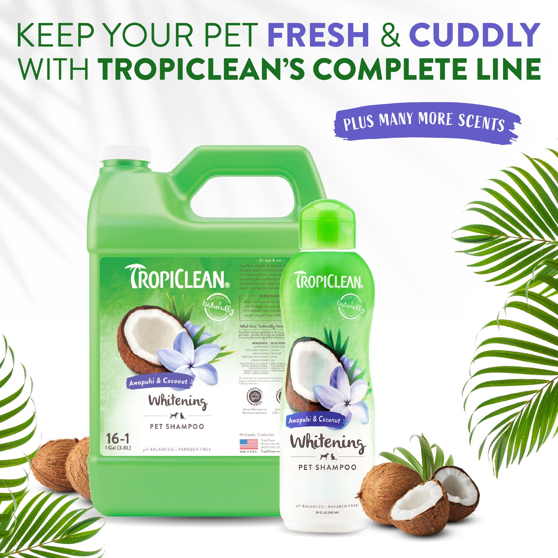 slide 3 of 10, TropiClean Awapuhi & Coconut Whitening Shampoo for Pets, 20oz, 20 fl oz