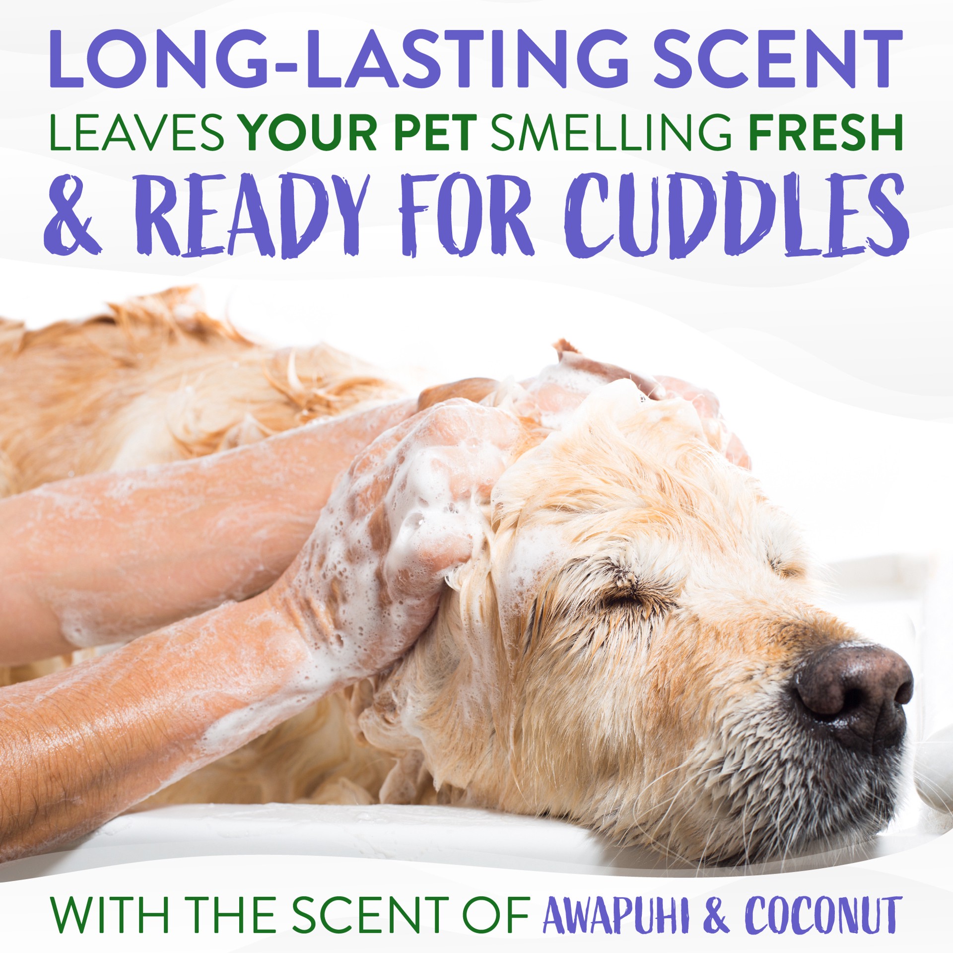 slide 10 of 10, TropiClean Awapuhi & Coconut Whitening Shampoo for Pets, 20oz, 20 fl oz