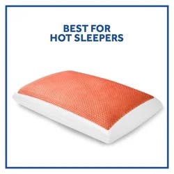 Sealy Copper Gel Bed Pillow