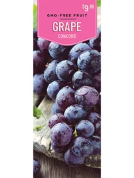 Grape Seedless Concord 1 ct