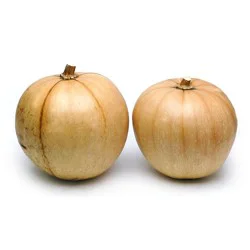 Calabaza Squash