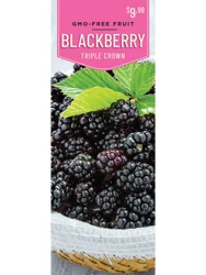 Blackberry Triple Crown 1 ct