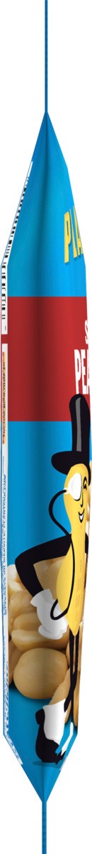 slide 6 of 8, Planters Salted Peanuts 1.75 oz, 1.75 oz