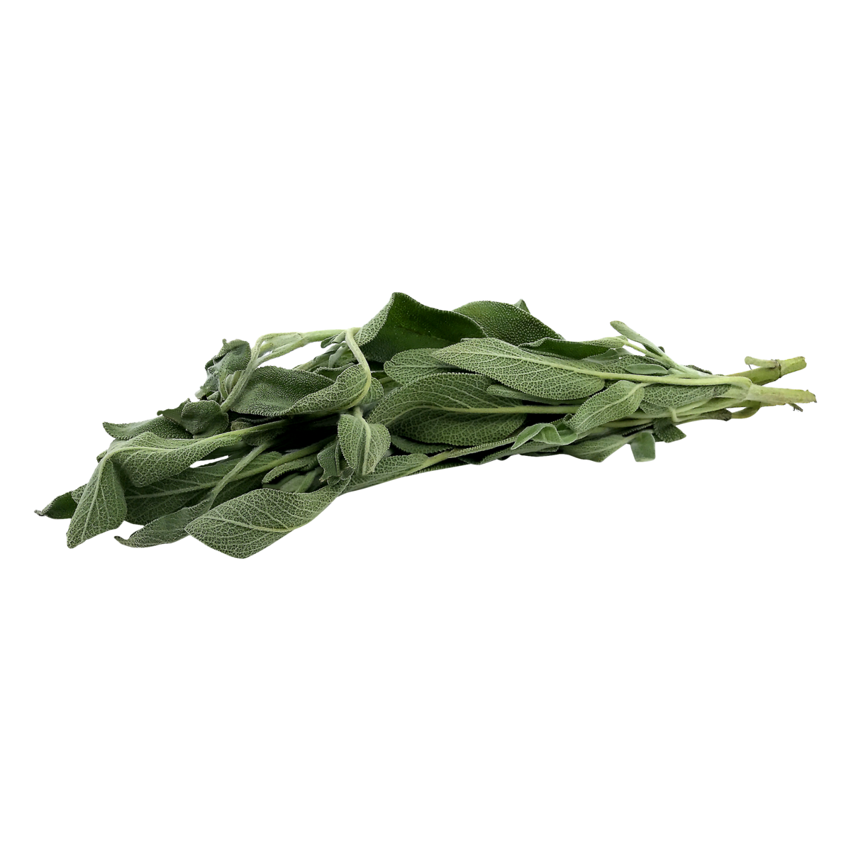 slide 1 of 1, Northgate Sage Bunch, 1 ct