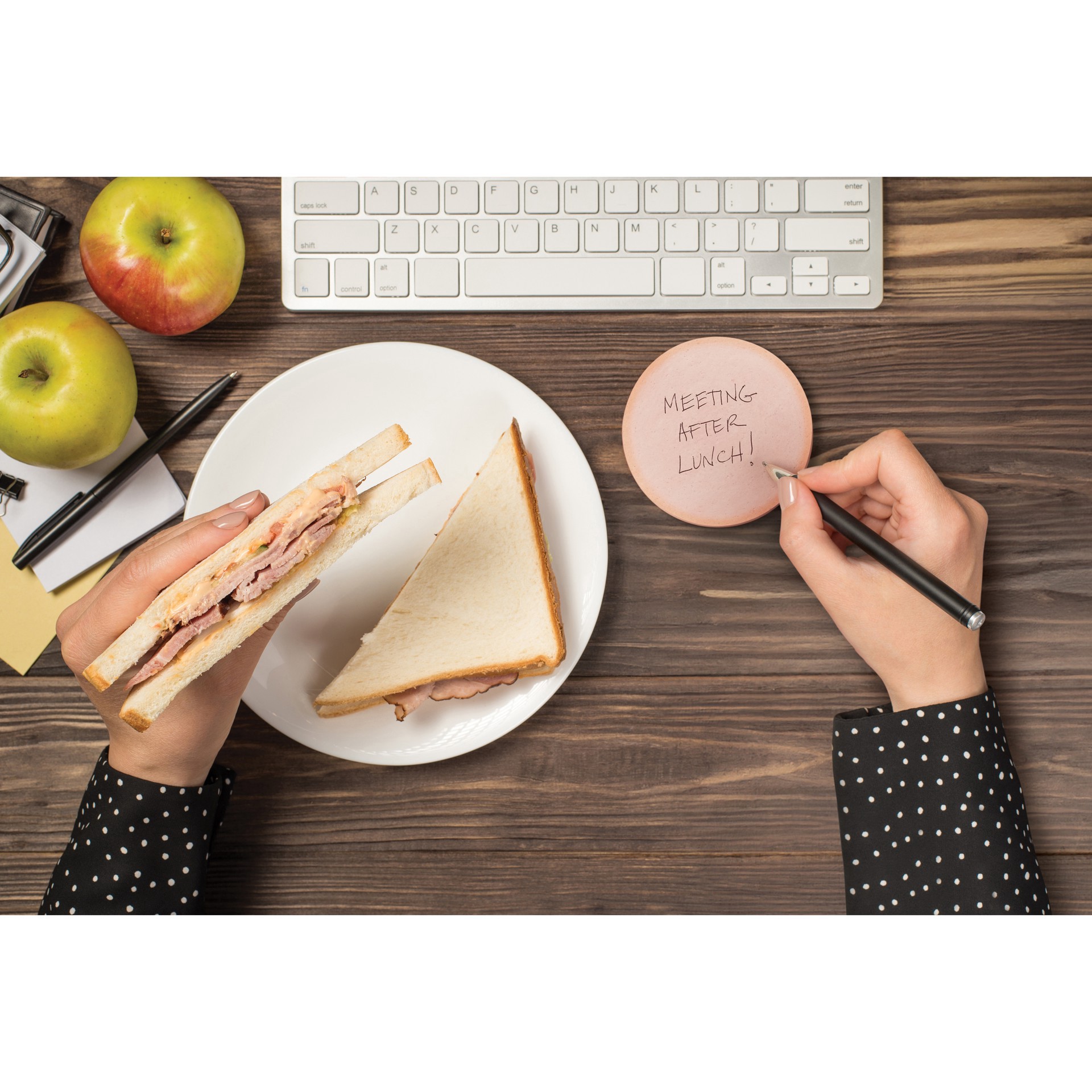 slide 2 of 2, Fred Phony Bologna Sticky Notes, 3.5 in