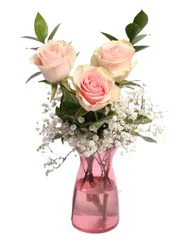 $16.99 Fresh Arrangement - Triple Rose Budvase