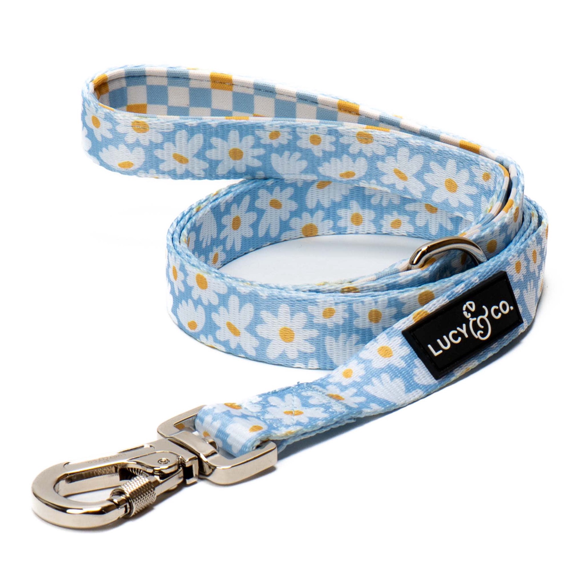 slide 1 of 1, Lucy & Co. The Simply Splendid Dog Leash, 9.72" H, Blue, Large, 9.72 in
