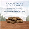 slide 3 of 17, Blue Buffalo Wilderness Grain Free Chicken Flavor Crunchy Cat Treats - 2oz, 2 oz