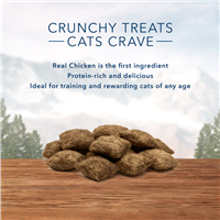 slide 14 of 17, Blue Buffalo Wilderness Grain Free Chicken Flavor Crunchy Cat Treats - 2oz, 2 oz