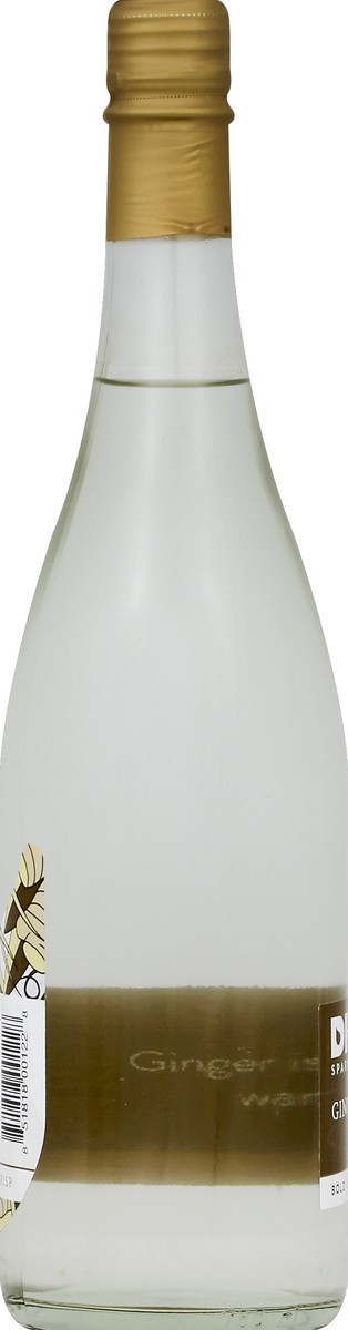 slide 3 of 4, Dry Sparkling Ginger Soda, 750 ml