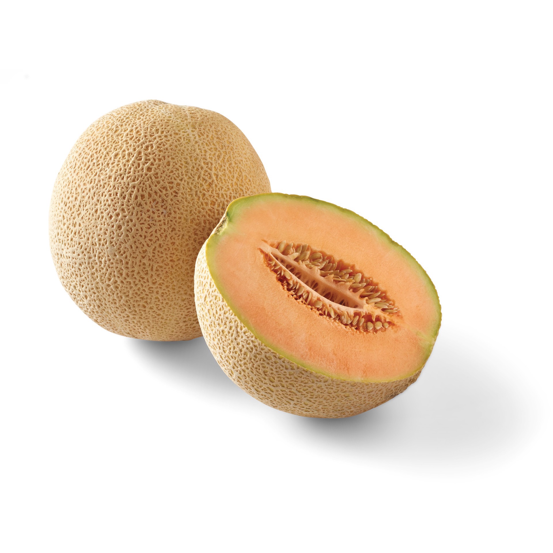 slide 1 of 1, Fresh Pecos Cantaloupe, 1 ct