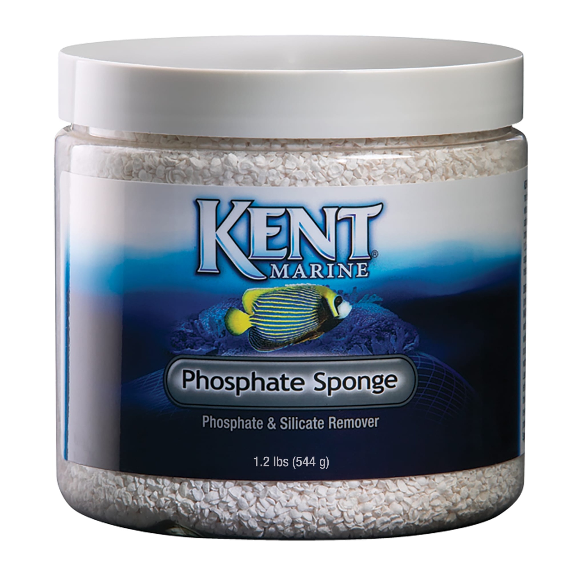 slide 1 of 1, Kent Marine Phosphate Sponge, 1 ct