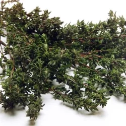 Melissa's Organic Thyme
