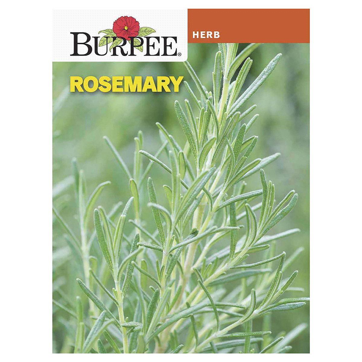 slide 1 of 5, Burpee Rosemary Seeds, 1 ct