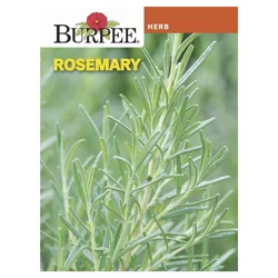 Burpee Rosemary Seeds