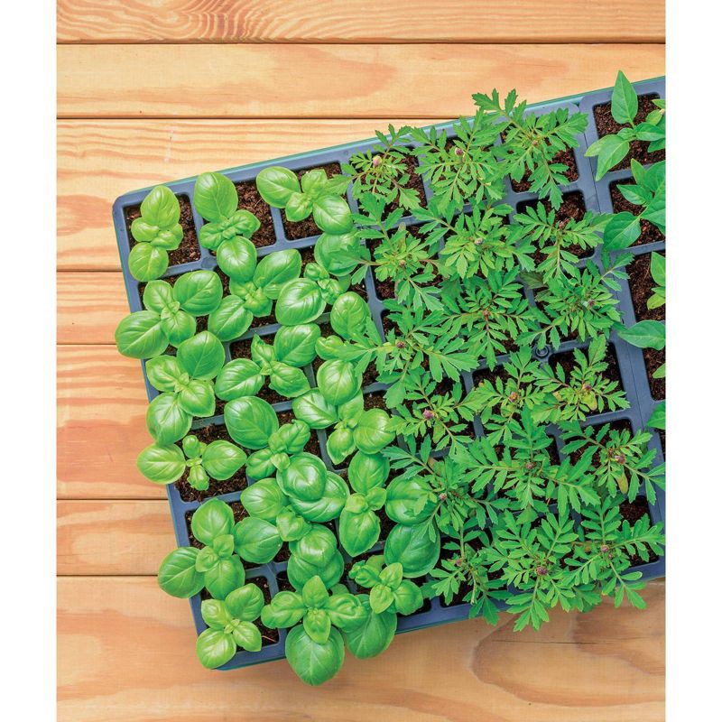 slide 6 of 6, Burpee 72 Cell Self Watering Greenhouse Kit, 1 ct