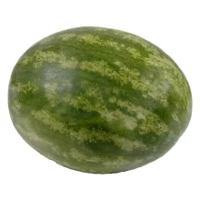 Sun City Watermelon Seedless