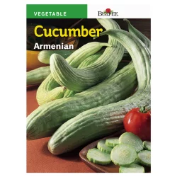 Burpee Armenian Cucumber Seeds Green