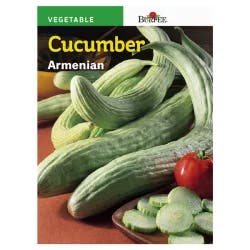 Burpee Armenian Cucumber Seeds Green
