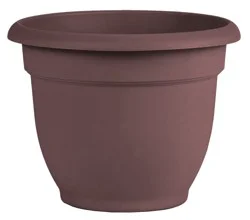 Bloem Ariana Merlot Planter