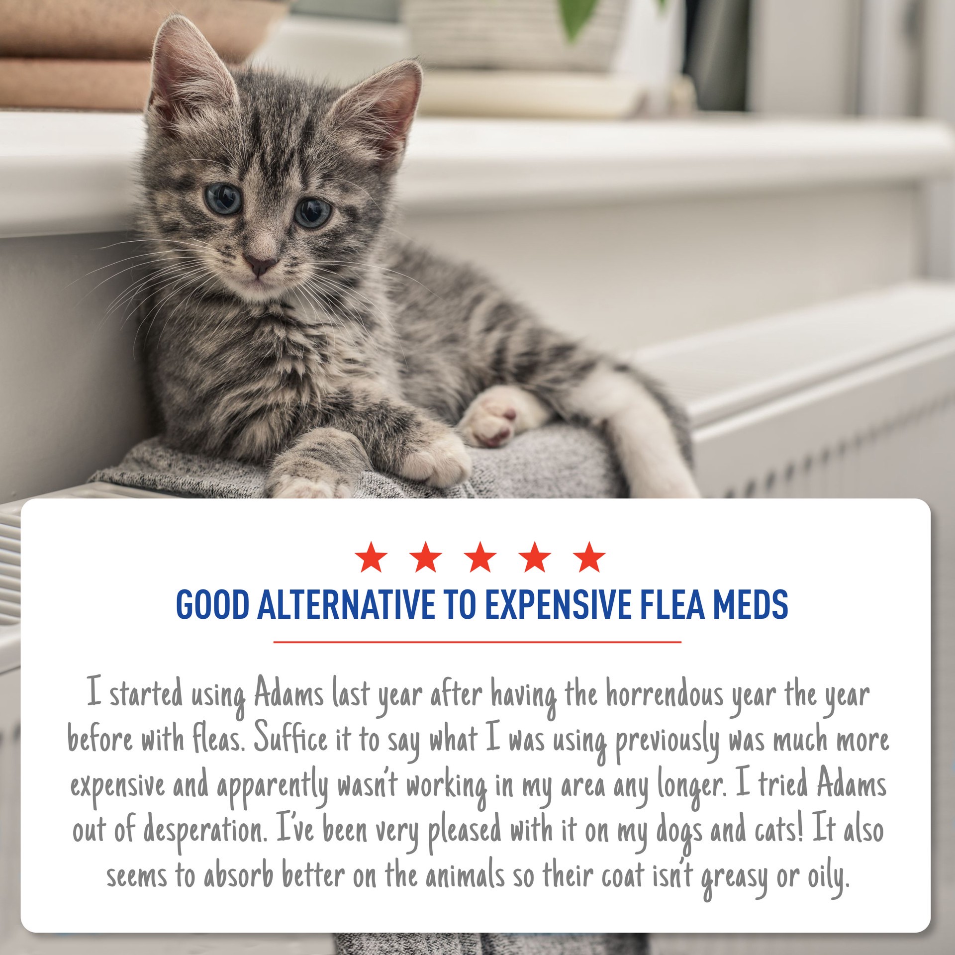 slide 7 of 8, Adams Flea And Tick Cats Under 5Lb, 1 ct