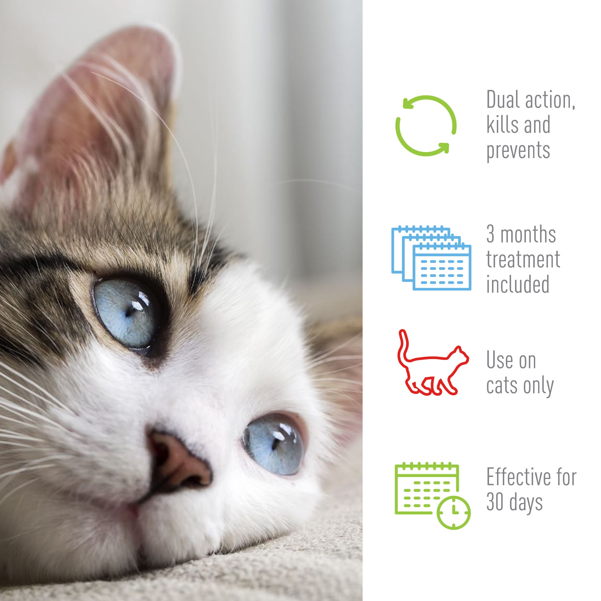 slide 2 of 8, Adams Flea And Tick Cats Under 5Lb, 1 ct