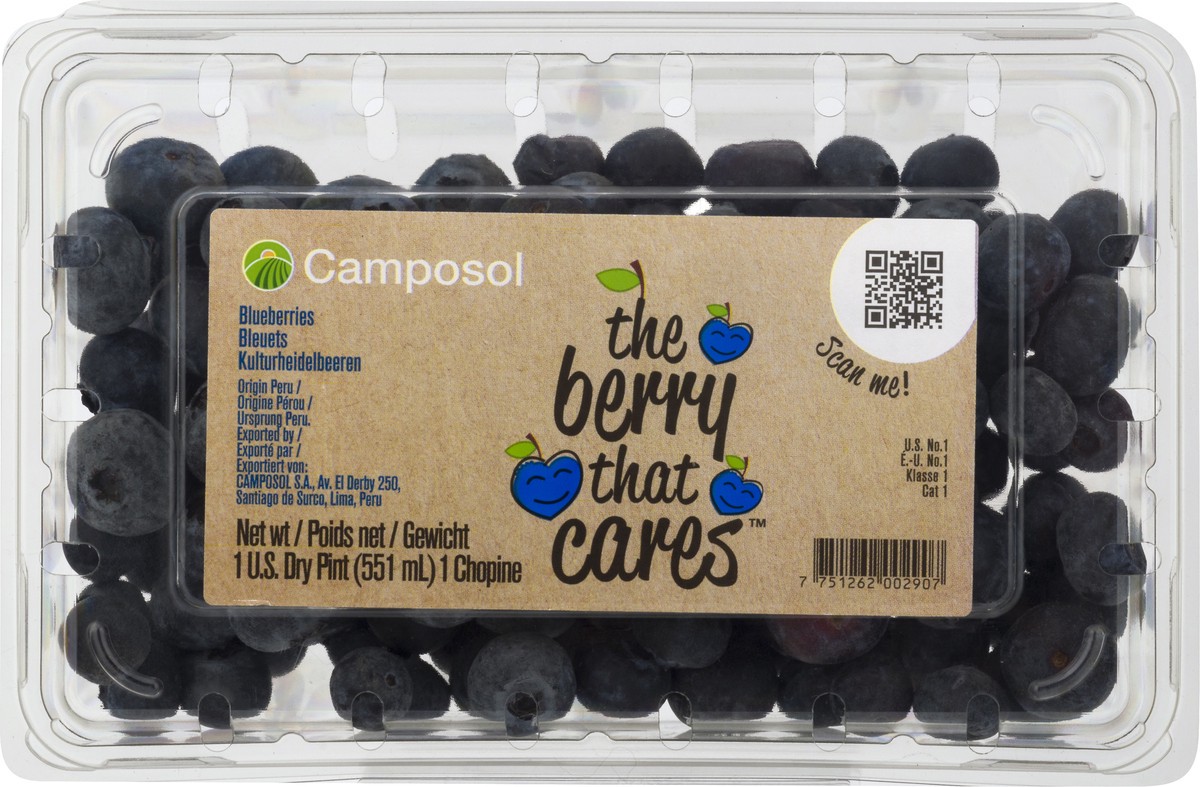 slide 4 of 10, Camposol Blueberries 1.0 pt, 1 pint