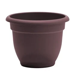 Bloem Ariana Merlot Planter