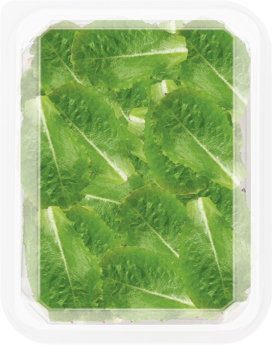 slide 2 of 3, Earthbound Farm Earth Bound Organic Baby Romaine Clamshell, 5 oz