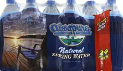 Absopure Spring Water / - 405.6 oz