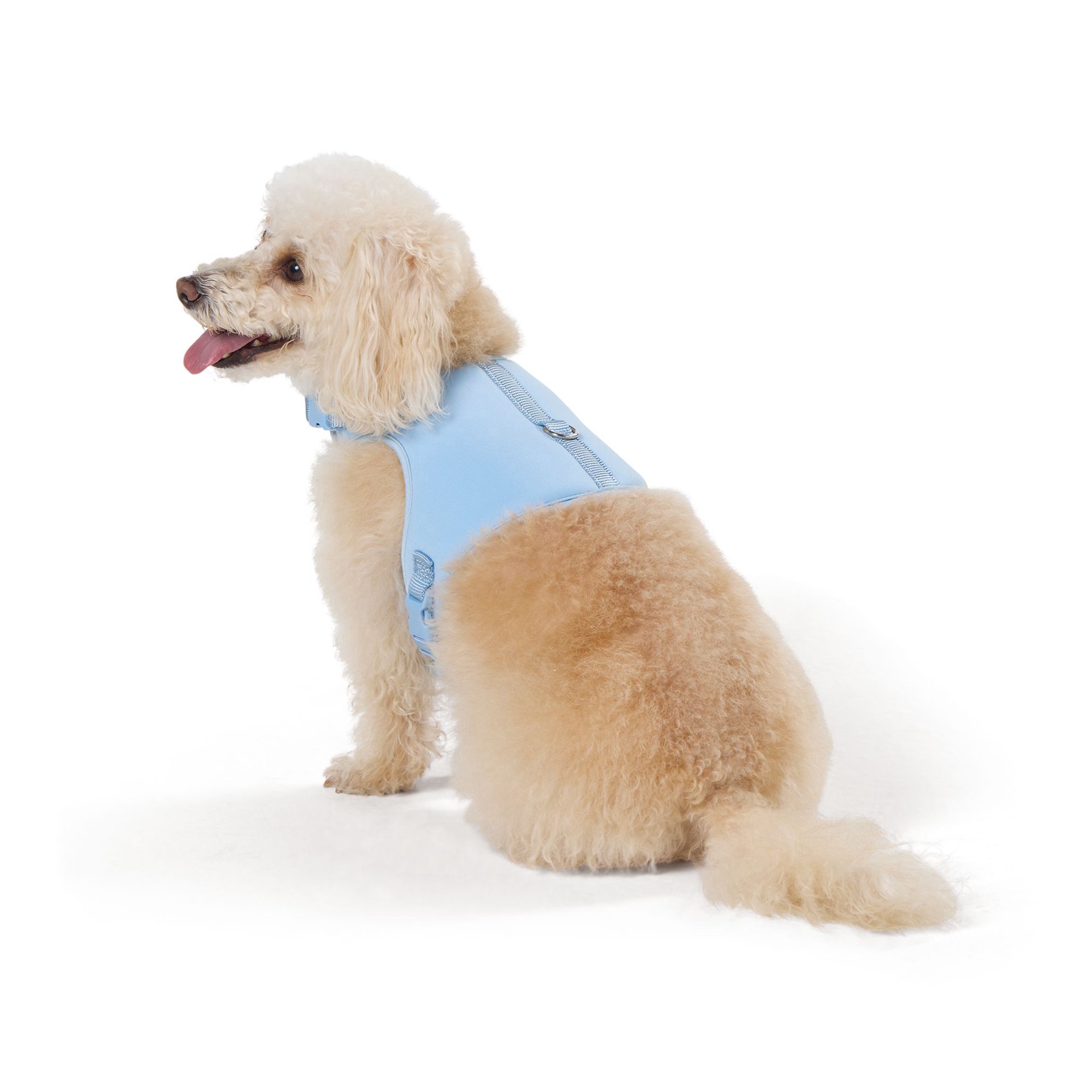 アトリエgg　BEACH STANDARD SWEAT VEST 犬服 Top Paw® Neoprene Vest Dog Harness, Light Blue SM | shipt