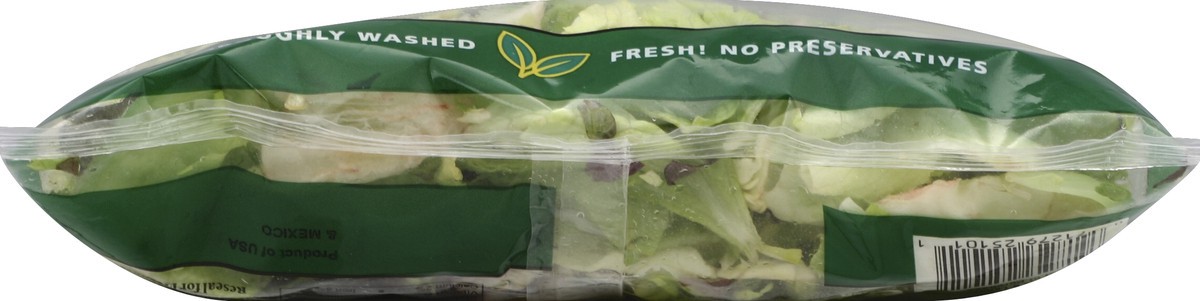 slide 6 of 6, Fresh Express Salad Greens 5-Lettuce Mix - 6 Oz, 6 oz