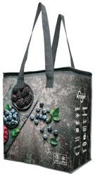 Kroger Insulated Bag