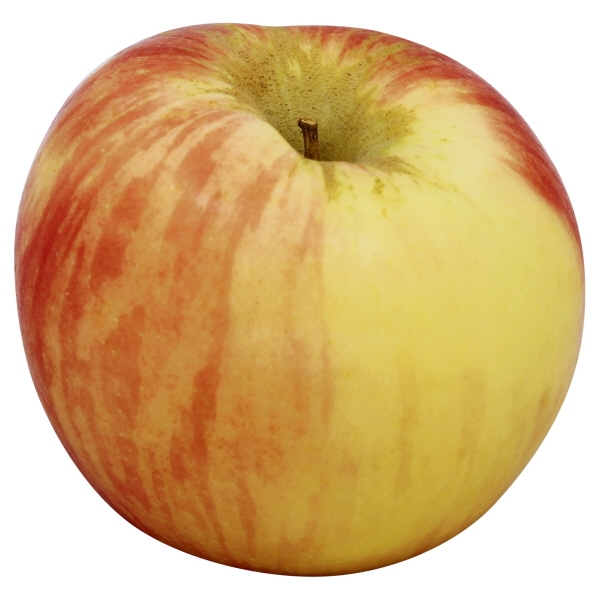slide 1 of 1, Organic Apple - Honeycrisp, 1 ct