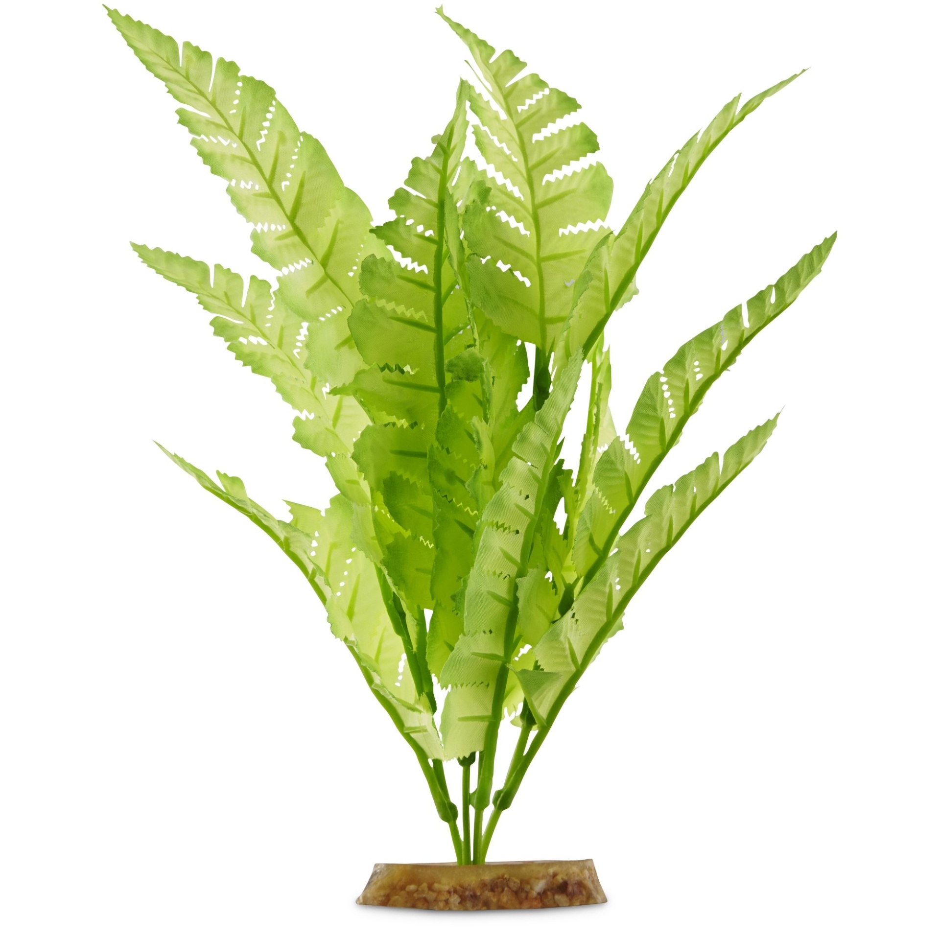 slide 1 of 1, Imagitarium Bright Green Silk Plant, M