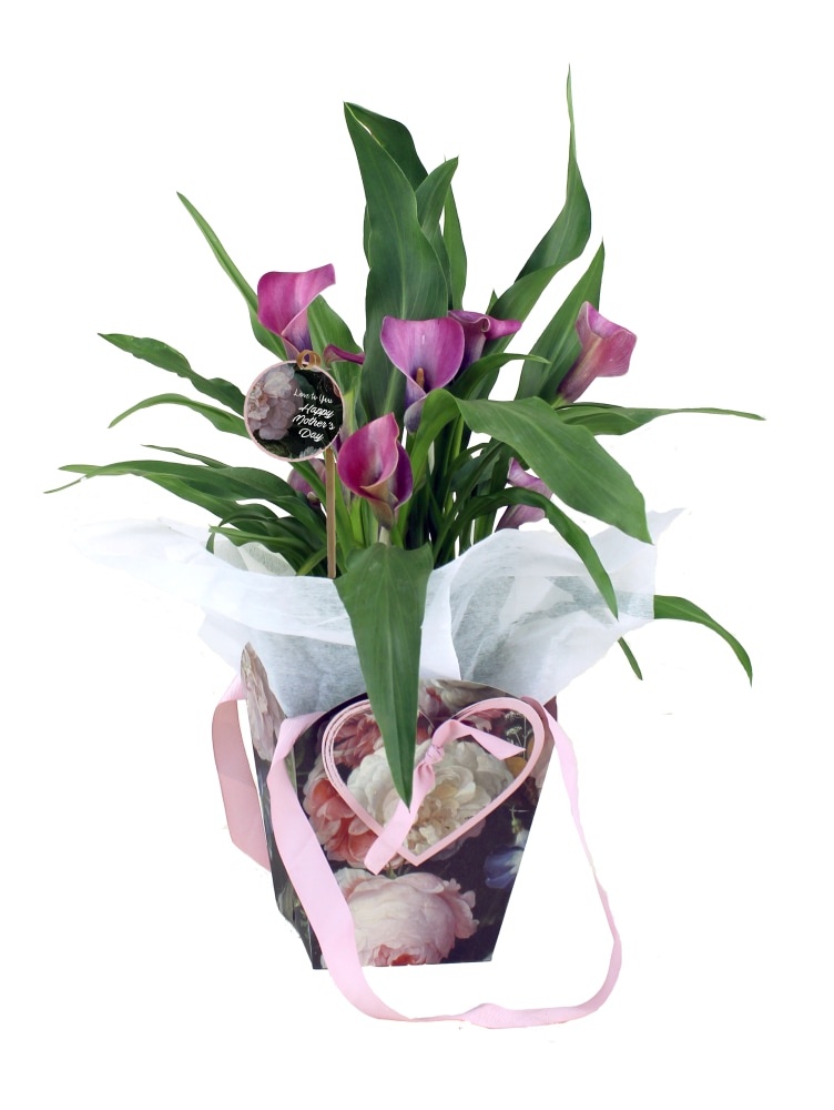 slide 1 of 1, Calla Lily Gift Bag, 6 in